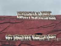 Impressions of Lijiang