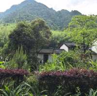 天然氧吧！🌿廣西賀州姑婆山旅遊區