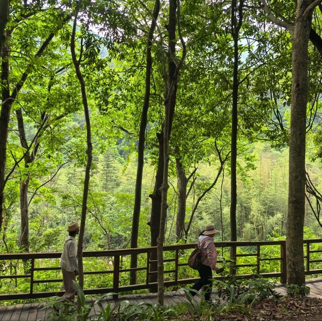 天然氧吧！🌿廣西賀州姑婆山旅遊區