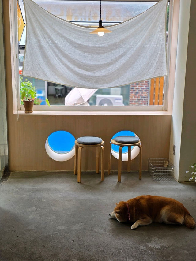 🧡☕️ '카페피크닉' 부산 광안리 카페 추천
