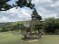 奈良公園