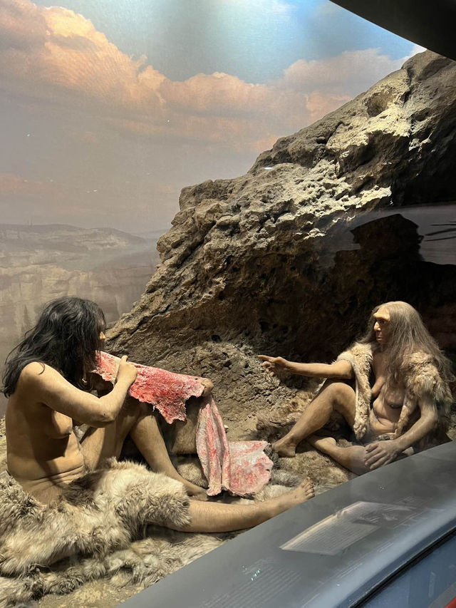 ［紐約旅行］紐約自然歷史科學博物館American Museum of Natural History🦴晚上會活起來的博物館
