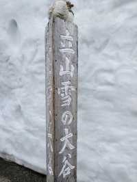 🏔️立山黑部壯麗之旅心得