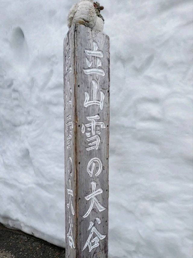 🏔️立山黑部壯麗之旅心得 🏔️立山黑部壯麗之旅心得