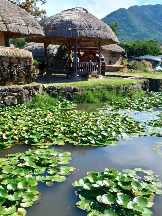 고즈넉한 데이트 고즈넉한 데이트