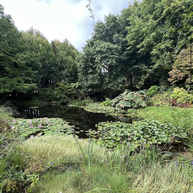 Ayrlies Garden and Wetlands