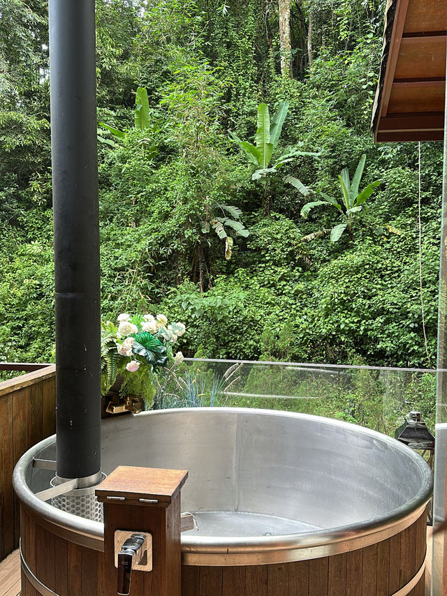ที่พักติดลำธารเชียงใหม่ 🪾🏞️