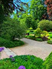 🌿 Linz Botanical Garden – Nature’s Tranquil Corner in the Heart of the City