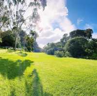 Caves House Hotel