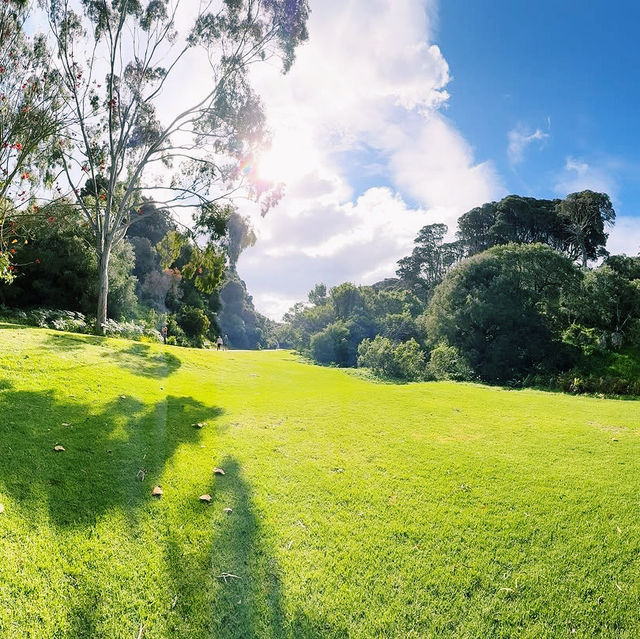 Caves House Hotel