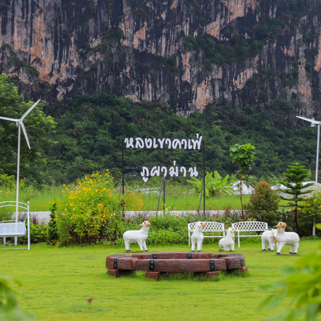 หลงเขา ภูผาม่าน🌿
