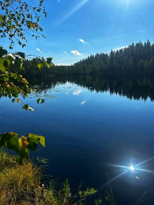 🌲 Seitseminen National Park – Where Finnish Wilderness Comes Alive