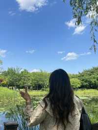 พักใจที่แทจอนสวนพฤกษศาสตร์กลางเมืองที่ร่มรื่น