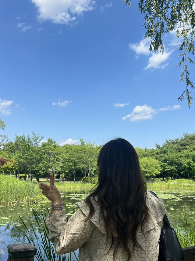พักใจที่แทจอนสวนพฤกษศาสตร์กลางเมืองที่ร่มรื่น