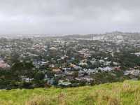 Auckland's Volcanic Summit: A Symphony of City and Sea