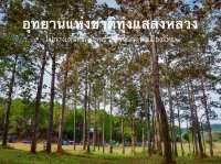 ทุ่งหญ้าสะวันนาแห่งเมืองไทย ทุ่งแสลงหลวง เพชรบูรณ์