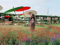งานเมล็ดพันธุ์ บริษัทศรแดง