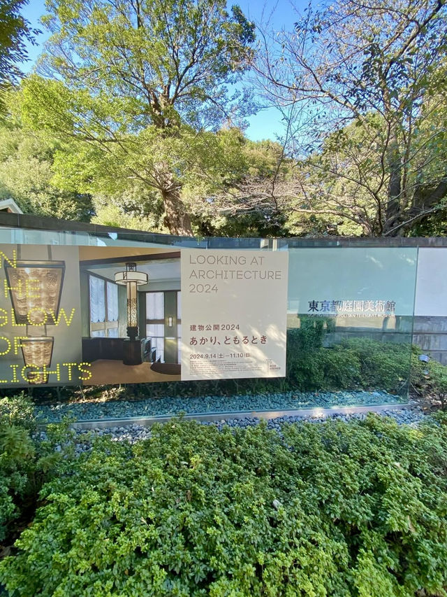 🌿 Sunlit Lunch at Cafe TEIEN, Tokyo Metropolitan Teien Art Museum
