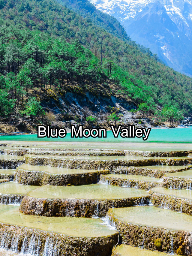 Blue Moon Valley Blue Moon Valley