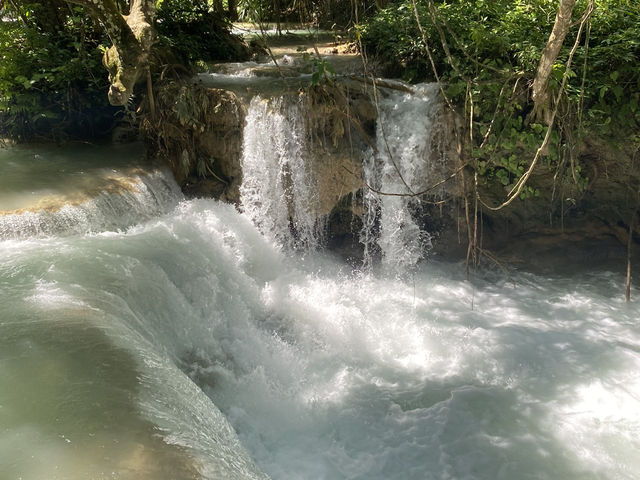 Lost in Kuang Si Paradise 💦🌿 Lost in Kuang Si Paradise 💦🌿