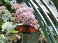 Huntsville Botanical Garden