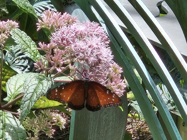 Huntsville Botanical Garden