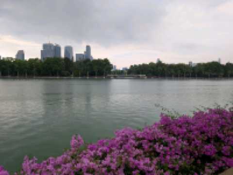 An Oasis of Calm in Bangkok's Heart