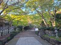✨️勝尾寺達摩寺⛩️大阪必去打卡好去處介紹📸💕