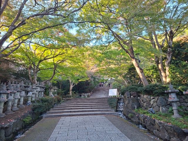 ✨️勝尾寺達摩寺⛩️大阪必去打卡好去處介紹📸💕 ✨️勝尾寺達摩寺⛩️大阪必去打卡好去處介紹📸💕