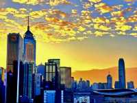 The Amber Echo of Causeway Bay Golden Scales