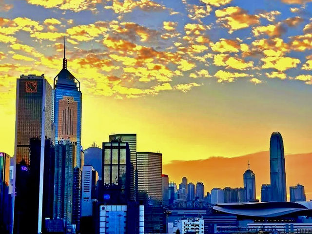 The Amber Echo of Causeway Bay Golden Scales