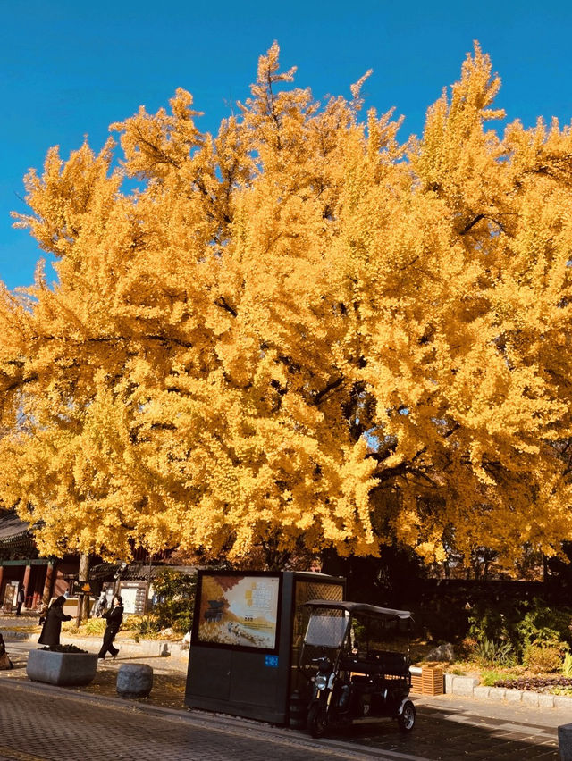 Historical Immersion and Grand Framing Historical Immersion and Grand Framing