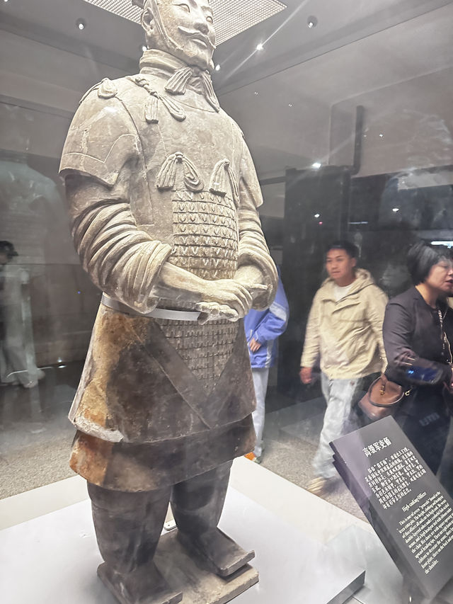 日落雲霧裡的貓影西安 日落雲霧裡的貓影西安