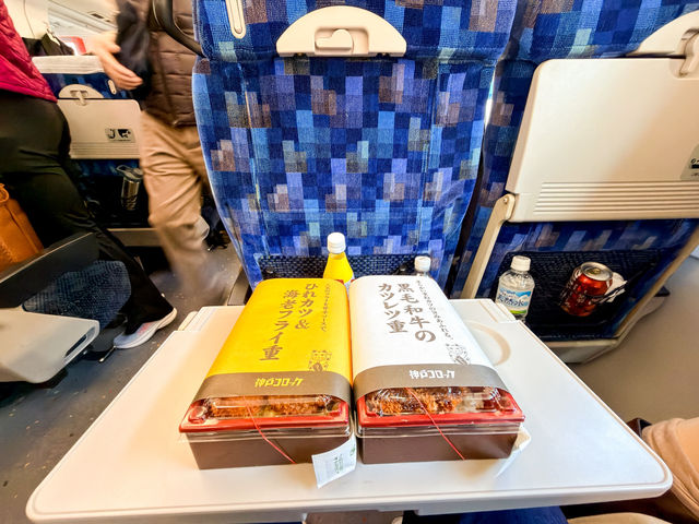 รีวิวรถไฟจาก Shinjuku ไป Kawaguchiko 🗻