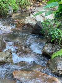 หมู่บ้านเล็กๆที่รายล้อมไปด้วยธรรมชาติสีเขียว