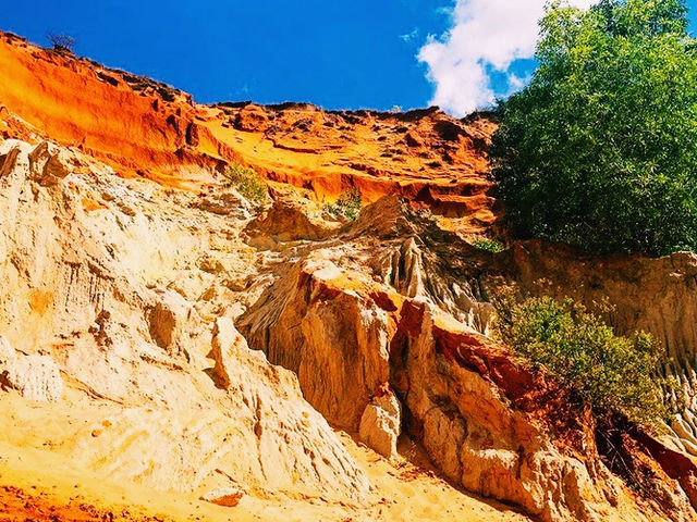 越南🇻🇳紅沙丘 越南🇻🇳紅沙丘