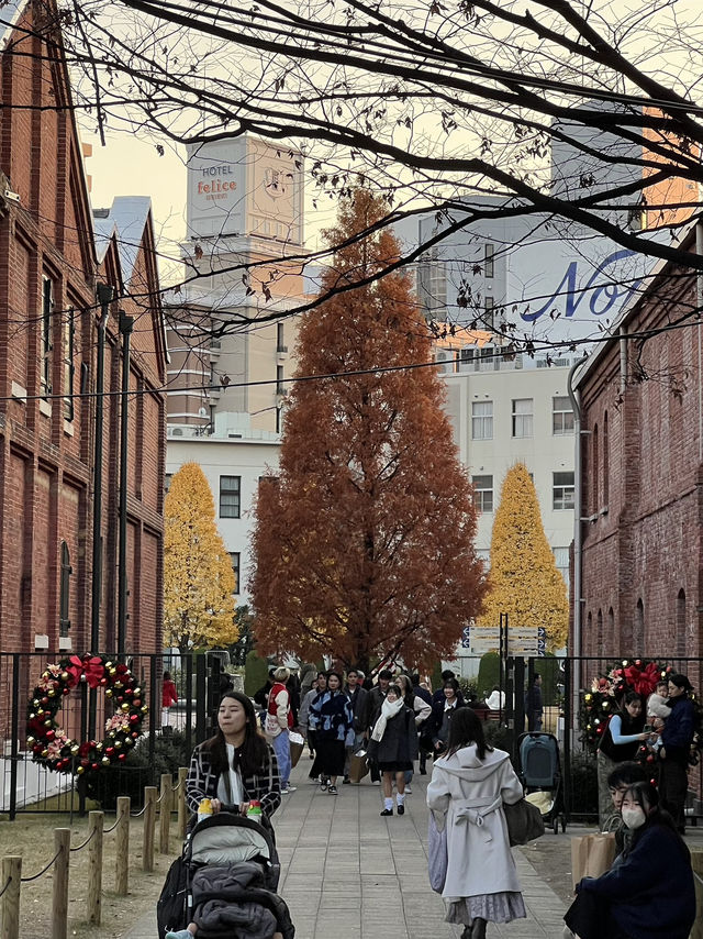 Christmassy Autumn in Noritake Garden, Nagoya 🍁🎄 Christmassy Autumn in Noritake Garden, Nagoya 🍁🎄