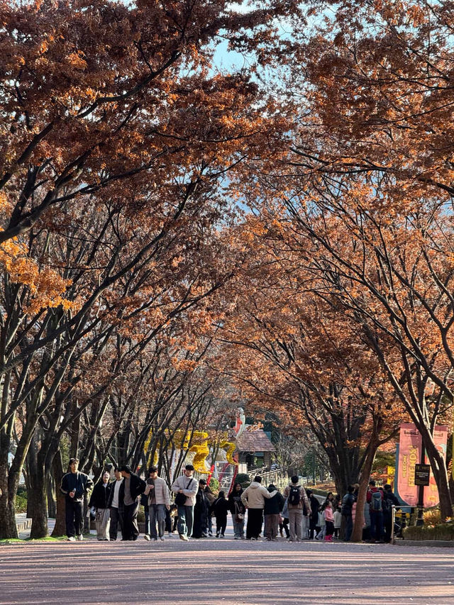 Park Paradise🌳 Park Paradise🌳