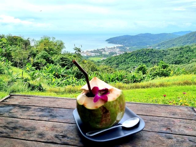 Phuket Vibe Check: Sipping Coconut & Chillin’ at Surin Beach Viewpoint 🥭🌴
