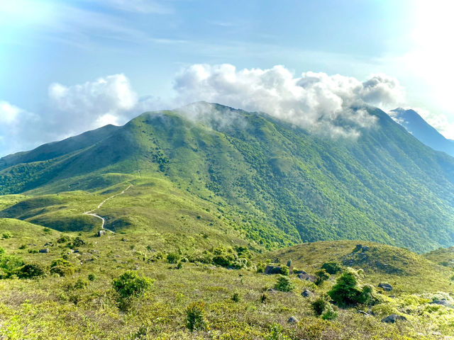 大東山的攀登:一步步都是靈魂的吶喊 🚶♂️🏔️ 大東山的攀登:一步步都是靈魂的吶喊 🚶♂️🏔️