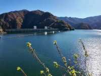 東京周邊小眾秘境｜奧多摩湖四季絕景攻略🍁