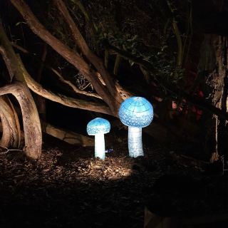 สวนที่สาบสูญแห่งเฮลิแกน