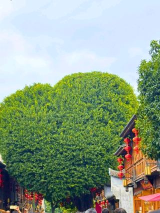 Fujian Coastline🌊