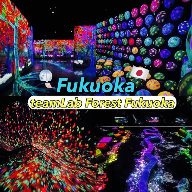 teamLab Forest Fukuoka 