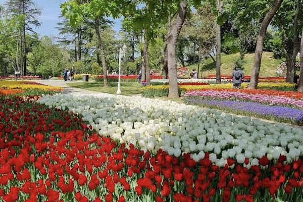 春の小旅行：エミルガン公園のチューリップ庭園へ | Trip.com トルコ