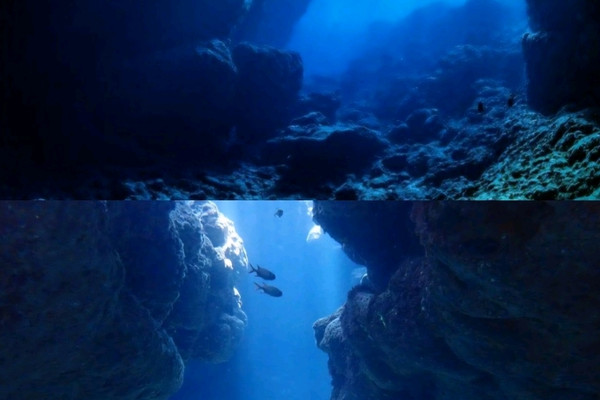 海の中へと溶け込んでいくような感覚、青の洞窟。 | Trip.com