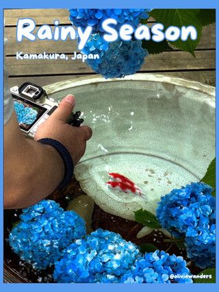 已經開始想念日本了嗎?那就趁著即將到來的雨季去日本旅遊吧!