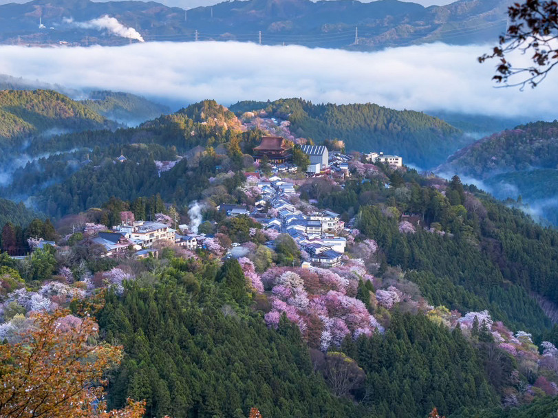 富士吉田の散策は、間近で魅力を体験すること。 | Trip.com 富士吉田