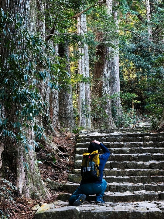 熊野古道 —— 時と森を抜ける聖なる道を歩く。 | Trip.com 田辺