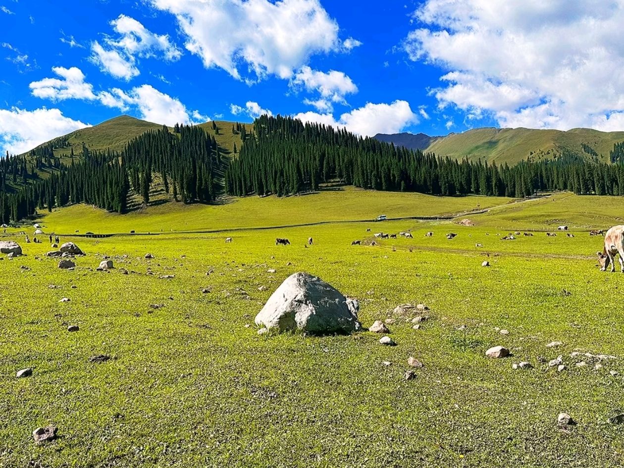 昭蘇草原的旅遊陷阱